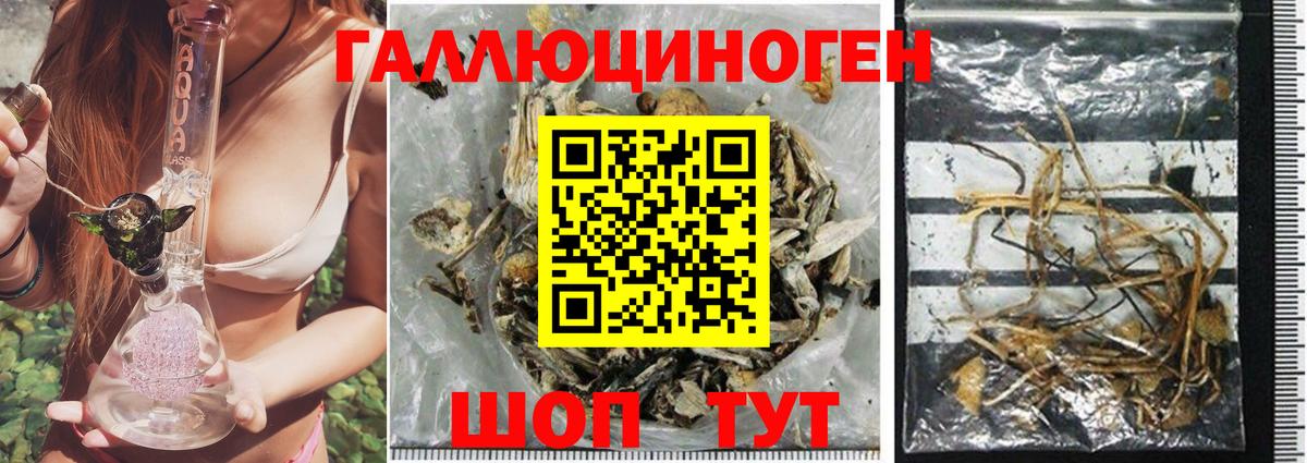 Псилоцибиновые грибы мухоморы Арзамас